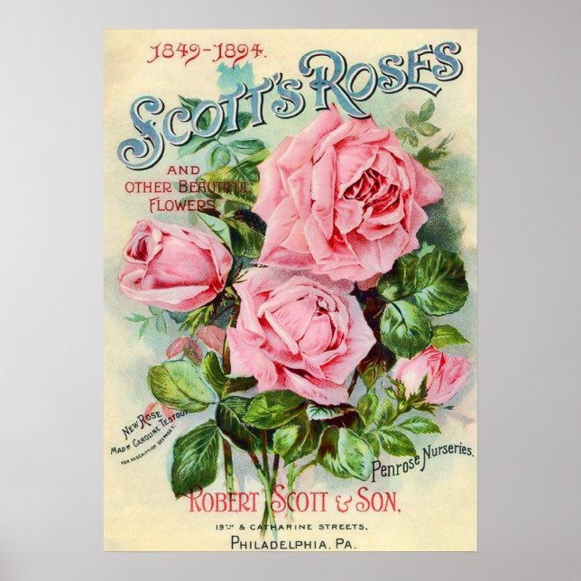 Póster Ilustração do Cobrir do Catálogo de Flores do Vint (Frente)