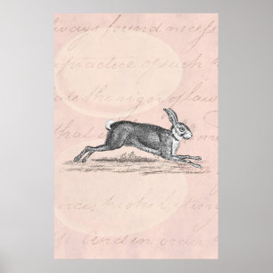 Póster Ilustração do coelho de coelho da lebre do vinta