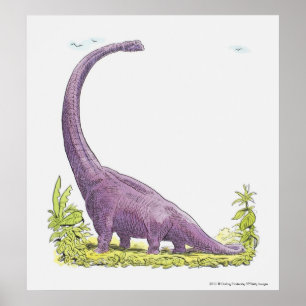 Póster Ilustração do dinossauro de Giraffatitan