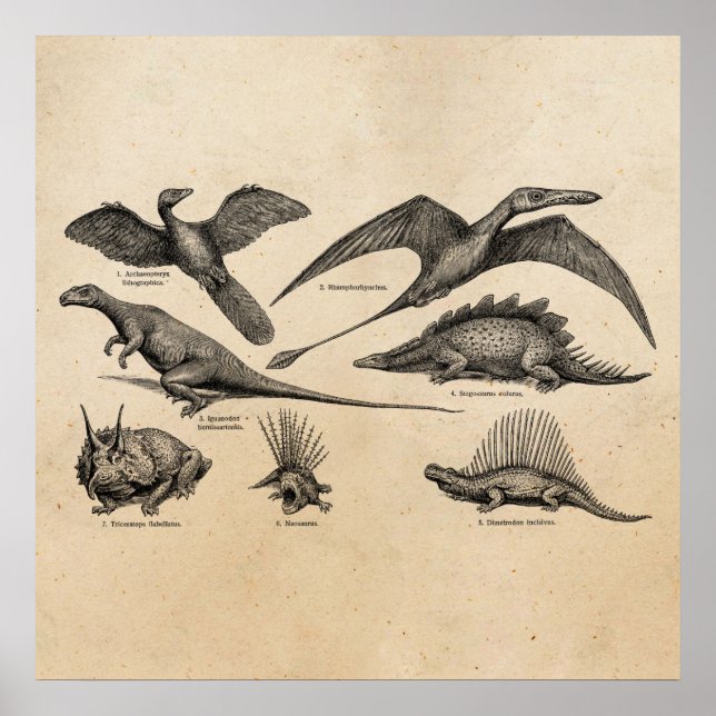 Poster Ilustração do Dinossauro Vintage Dinossauros Retro (Frente)