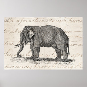 Póster Ilustração do elefante dos 1800s do vintage -