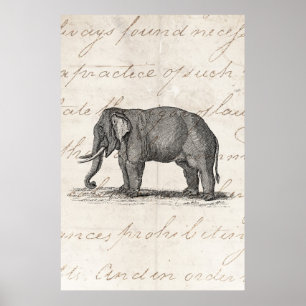 Póster Ilustração do elefante dos 1800s do vintage -
