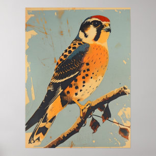 Poster Ilustração do Kestrel Americano Vintage