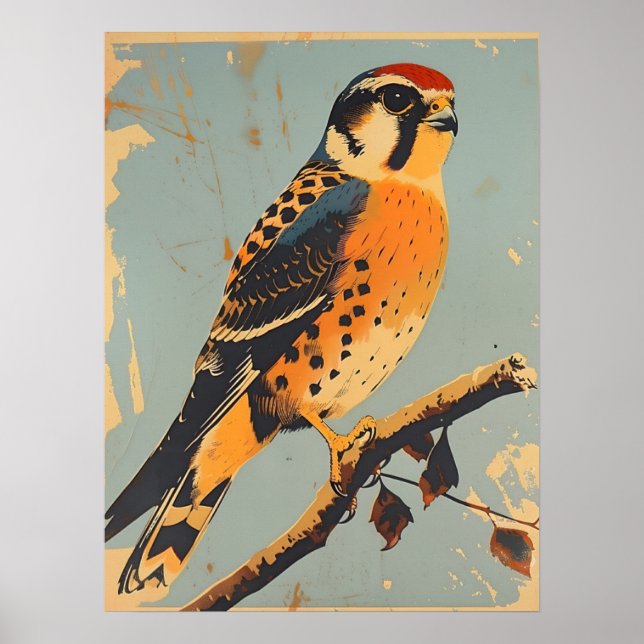 Poster Ilustração do Kestrel Americano Vintage (Frente)