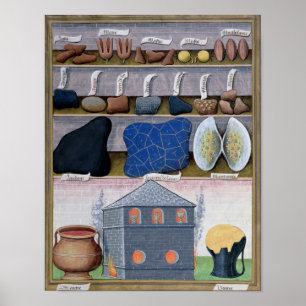 Póster Ilustração 'do livro de medicinas simples