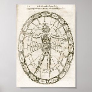 Poster Ilustração do Microcosmos