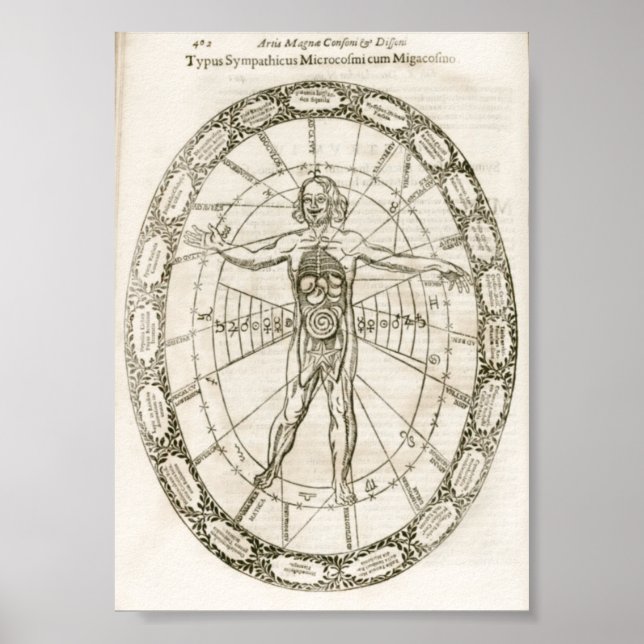 Poster Ilustração do Microcosmos (Frente)