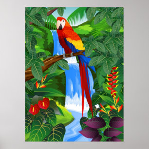 Póster Ilustração do pássaro do Macaw