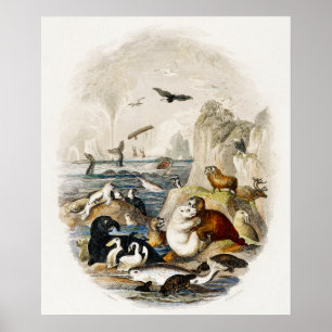 Poster Ilustração do selo da Vintage