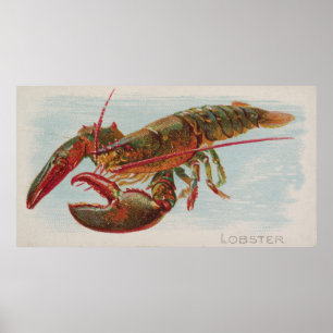Poster Ilustração do vintage de uma lagosta (1889)