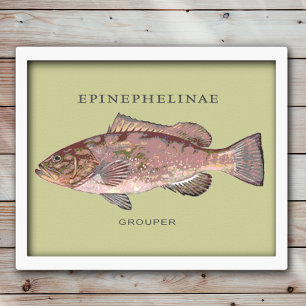 Póster Ilustração dos peixes da garoupa