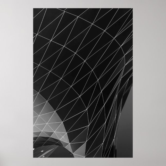 Poster Ilustração gráfica em preto-e-branco (Frente)
