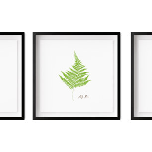 Poster Ilustração Lady Fern   Série Fern