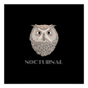 Póster Ilustração Nocturna Coruja
