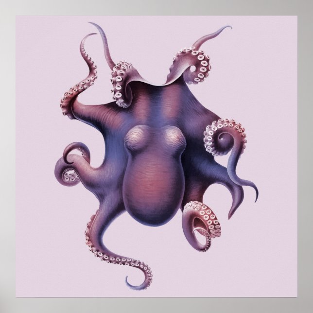 Poster Ilustração Octopus (Frente)
