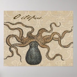Poster Ilustração Octopus Kraken Vintage