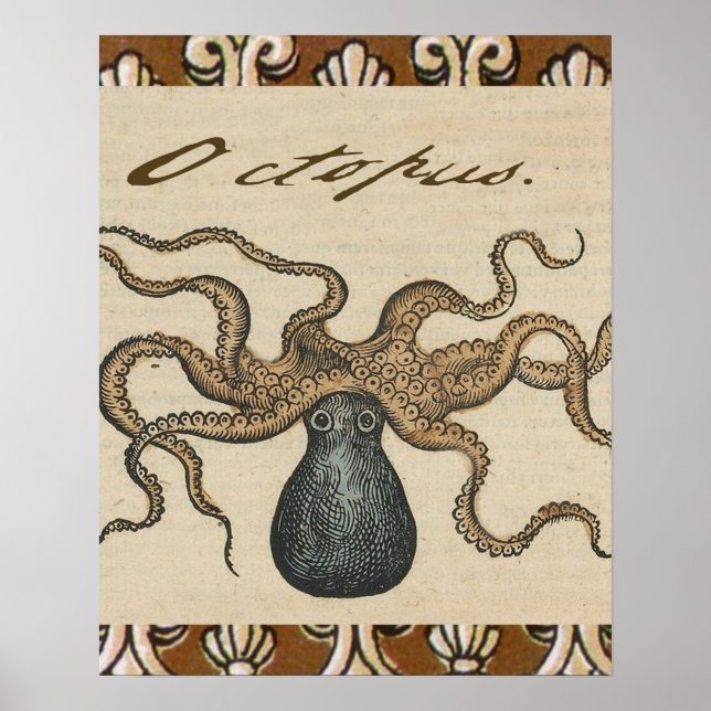 Póster Ilustração Octopus Kraken Vintage (Frente)