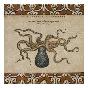 Póster Ilustração Octopus Vintage Kraken