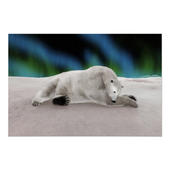 Póster Ilustração Pacífica de Urso Polar na Natureza Árti (Frente)