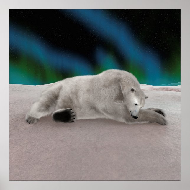 Póster Ilustração Pacífica de Urso Polar na Natureza Árti (Frente)