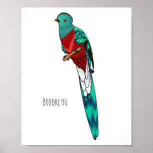 Poster Ilustração quetzal de desenho animado de ave respo