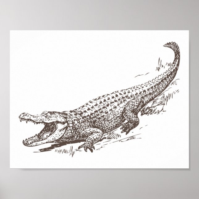 Poster Ilustração Realista de Jacaré (Frente)