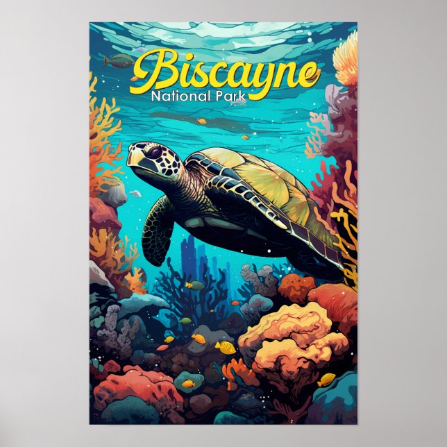 Poster Ilustração Retro de Tartaruga do Parque Nacional B (Frente)