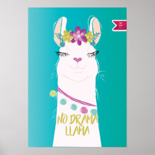 Poster Ilustração Sem Monograma de Drama Llama