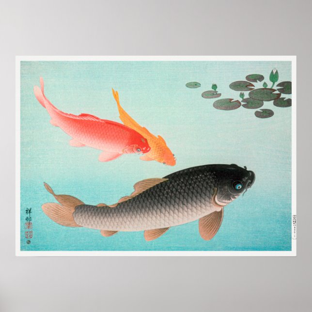 Poster Ilustração Vintage Carp (Frente)