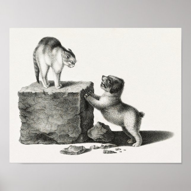 Poster Ilustração Vintage Cat e Pup (Frente)
