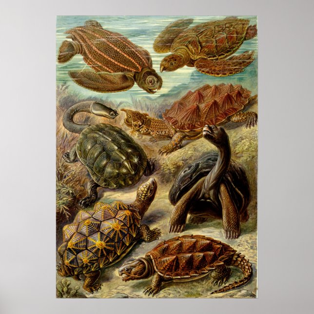 Poster Ilustração Vintage das Torturas (Frente)