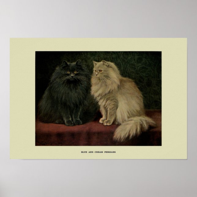 Poster Ilustração Vintage de Gatos (Frente)