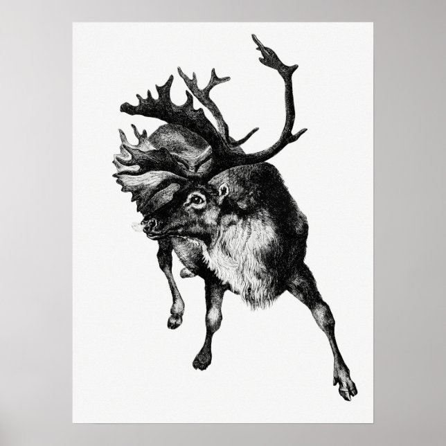 Poster Ilustração Vintage Deer (Frente)