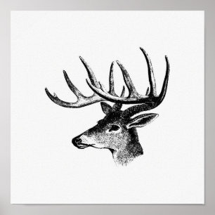 Poster Ilustração Vintage Deer