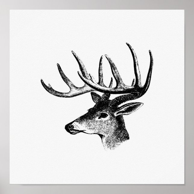 Poster Ilustração Vintage Deer (Frente)