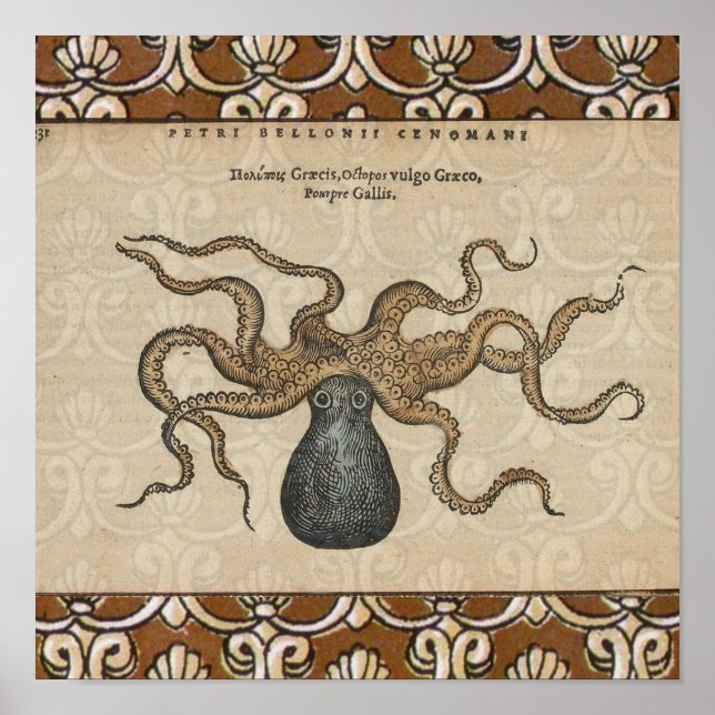 Póster Ilustração Vintage do Kraken Polvo (Frente)