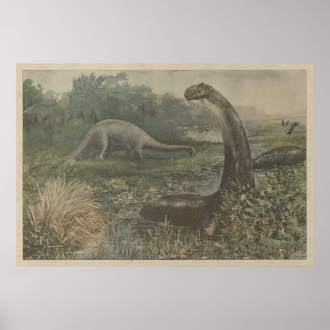 Poster Ilustração Vintage dos Dinossauros Brachiosaurus (Frente)