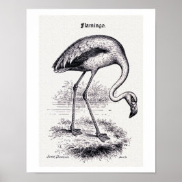 Poster Ilustração Vintage "Flamingo"