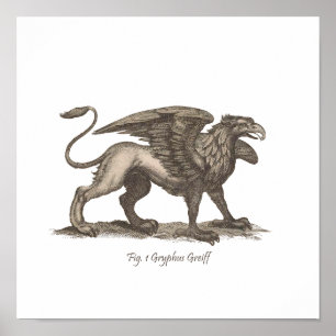 Poster Ilustração Vintage griffin (gryphus greiff).
