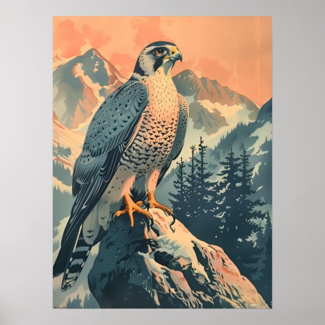 Poster Ilustração Vintage Gyrfalcon (Frente)