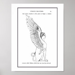 Poster Ilustração Vintage Sphinx