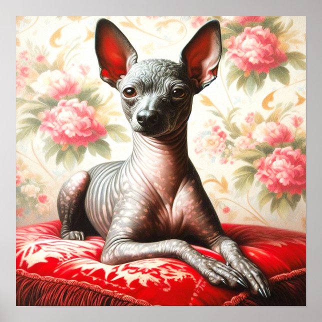 Poster Ilustração Vintage Xoloitzcuintle (Frente)