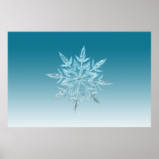 Poster ilustrações de gelo com floco de neve neve neve ne