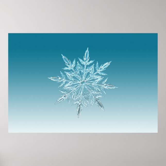 Poster ilustrações de gelo com floco de neve neve neve ne (Frente)