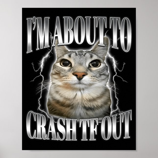 Poster I'm About To Crash Out Funny Staring Cat Brainrot  (Frente)