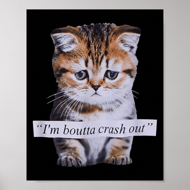 Poster I'm Boutta Crash Out Cat Funny Meme Cat Pet Lover  (Frente)