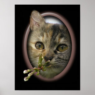 Poster Im que pensam de você