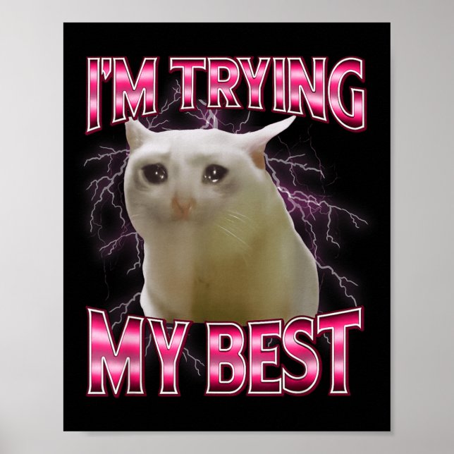 Poster I'm Trying My Silly Crying Cat Meme Funny Cats Ani (Frente)