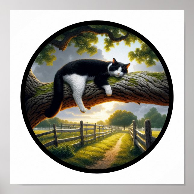 Poster Imagem 3D circular de um bonito gato Tuxedo (Frente)