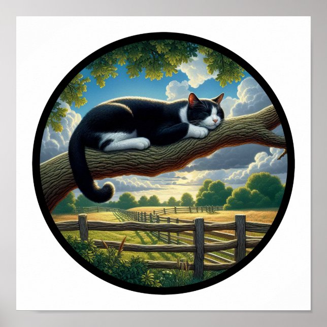 Poster Imagem 3D circular de um bonito gato Tuxedo (Frente)